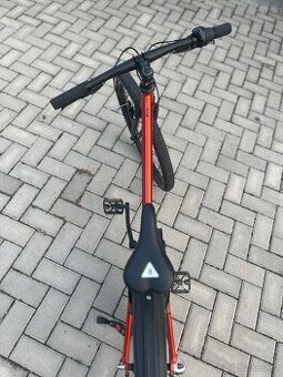 Rascal 24”