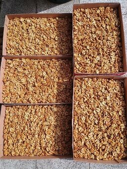 Vyloupané vlašské ořechy - výhradně jen půlky