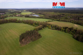 Prodej lesa, 7342 m², Borohrádek