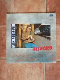 Michal David - Allegro (LP) - 1
