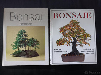 Obě 300,-Kč 2x Bonsaje Bonsai Krásný stav