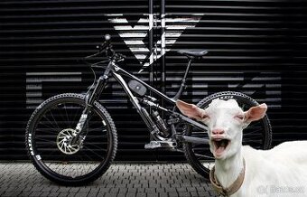 YT CAPRA CORE 2 "L" GX AKO NOVÝ