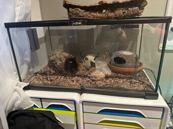 Terárium repro planet 60x30x30, topná podložka a světla