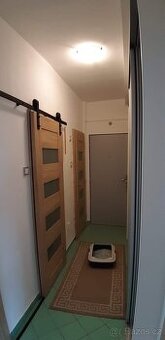 Pojezdove dvere 80cm (leve), 60 cm (prave), 74cm