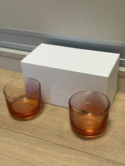2x sklenice Rony Plesl