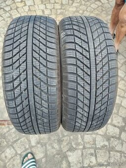 205/50/17 celorocni pneu GOODYEAR 205/50 R17