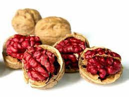 VLAŠSKÉ OŘECHY ČERVENÉ