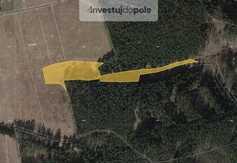 Prodej louky v k.ú. Svahy, ev.č. 2025-06-09-65