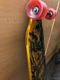 Longboard Tempisch