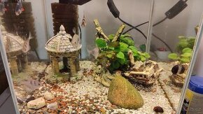 Aquarium set - 1