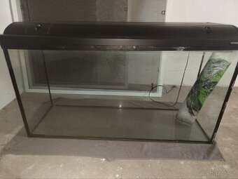 Terarium 120x40x60