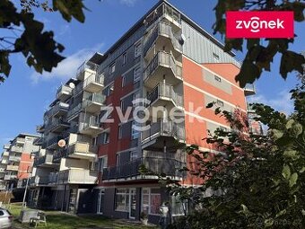 2+kk u Centrálního parku, slunný byt s velkou terasou