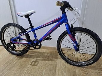 Superior Team 20" - TOP STAV