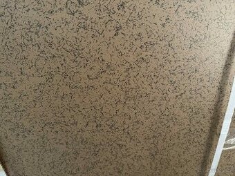 Prodám dlažba RAKO ... (3)