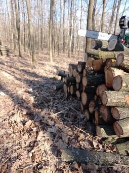 Palivové dřevo dub.