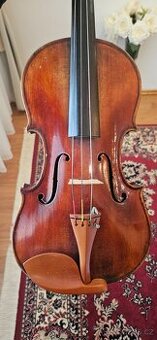 Krasna viola 39cm