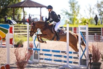 Pony do sportu