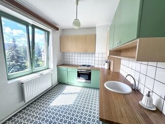 Prostorný byt 3+1 s balkonem, zahrádkou a osobitým stylem na