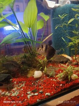 Za kožen krásný Tetry