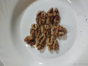 Prodám vlašské ořechy