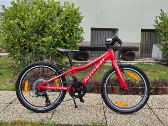 Lehké dětské kolo Author Record 20"