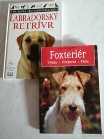 Jezevčík + Labradorský retrívr + Foxteriér