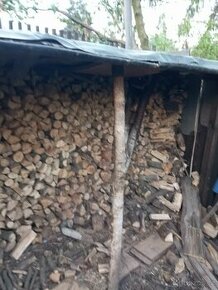 Palivové dřevo - 1
