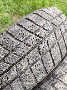 Barum Polaris 5 175/65/14