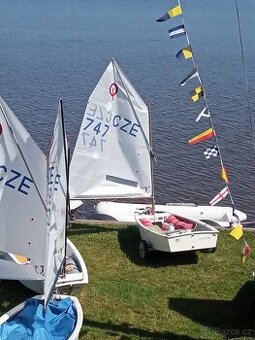 prodám plachetnici optimist