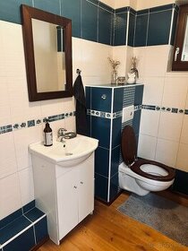 Závěsné WC s předstěnovým instalačním systémem