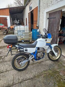 Honda nx 650 domimator