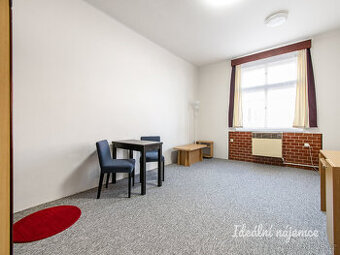 Pronájem bytu 1+kk, náměstí Jiřího z Lobkovic, Vinohrady, 14