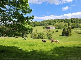 Pastevní ustájení na Šumavě - 1