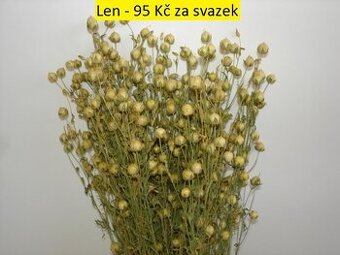 Sušené květiny - Statice, Tatarika, Slaměnky, Len,…