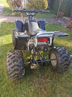 Čtyřkolka Access motor 100