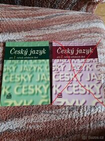 Český jazyk pro střední školy