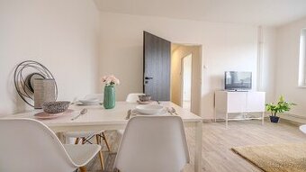 Prodám byt 1+1 s nájemníkem – Hodonín - 1
