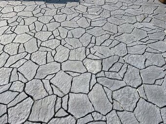 Zámková dlažba 8cm Diton šedá vzor kámen