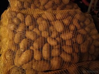 Krmné brambory, konzumní brambory,řepa