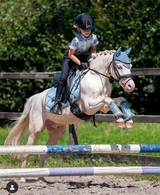 Hledá se pony učitel pro malé dítě do hobby sportu