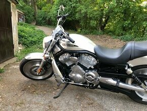 Harley Davidson V rod - 1