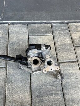 EGR ventil Peugeot,Citroen 9807369980