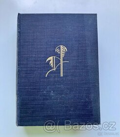 kniha Sahara Elgart Sokol 1929 - 1