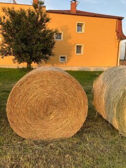 Vojtěška- seno