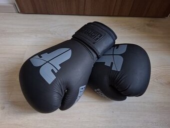 Boxerské kožené rukavice FIGHTER SIAM 14oz