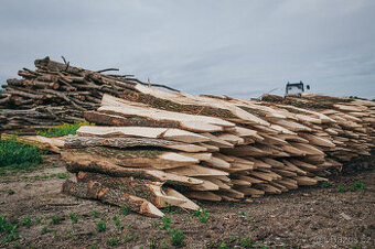 Prodám dubové kůly