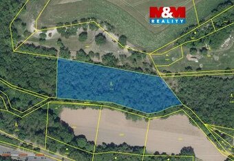 Prodej lesa, 6203 m², Lipno - 1