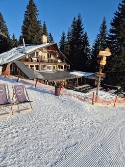 Přijmeme barmana/barmanku