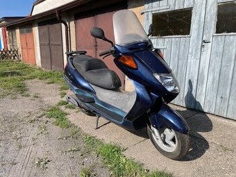 Dily Honda Pantheon 2t.