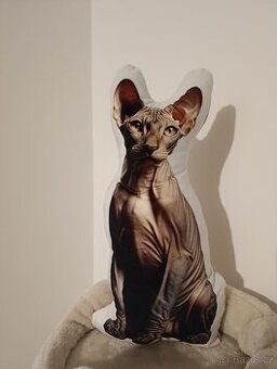 Polštář 3d Sphynx - 1
